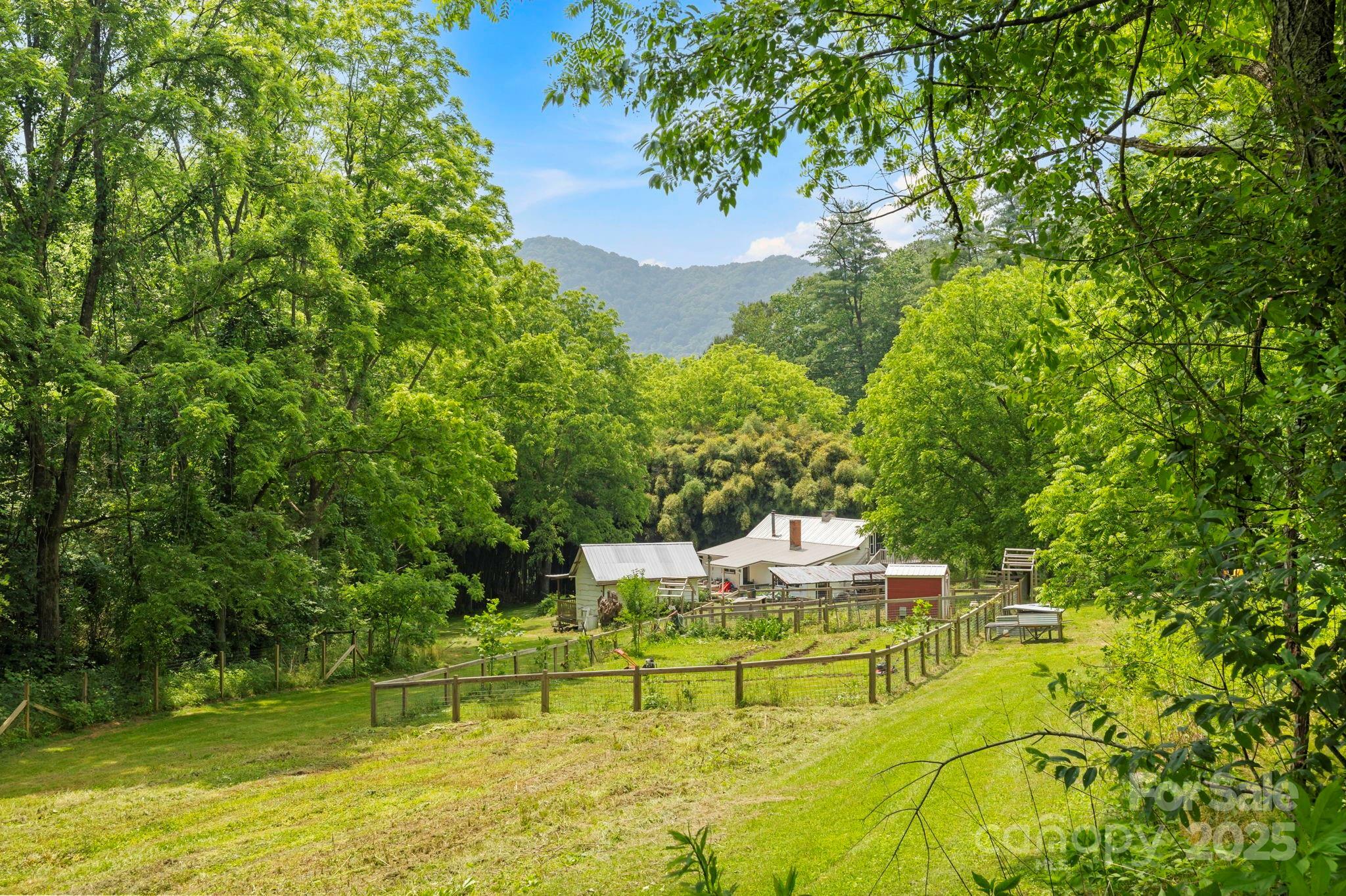 51 Homefire Cove Cove  Leicester NC 28748 photo