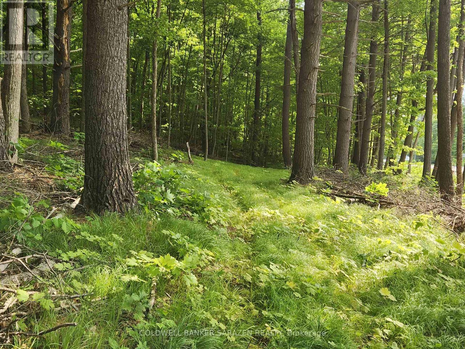 Photo de la propriété: 1680 Calabogie Road ON K0A 1G0