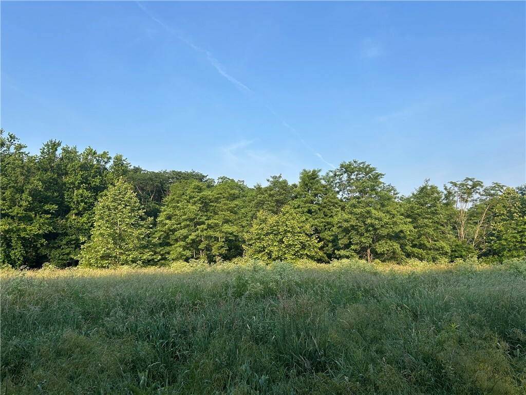 Property Photo:  50 Acres Off Of Jordan Rd  IL 61830 