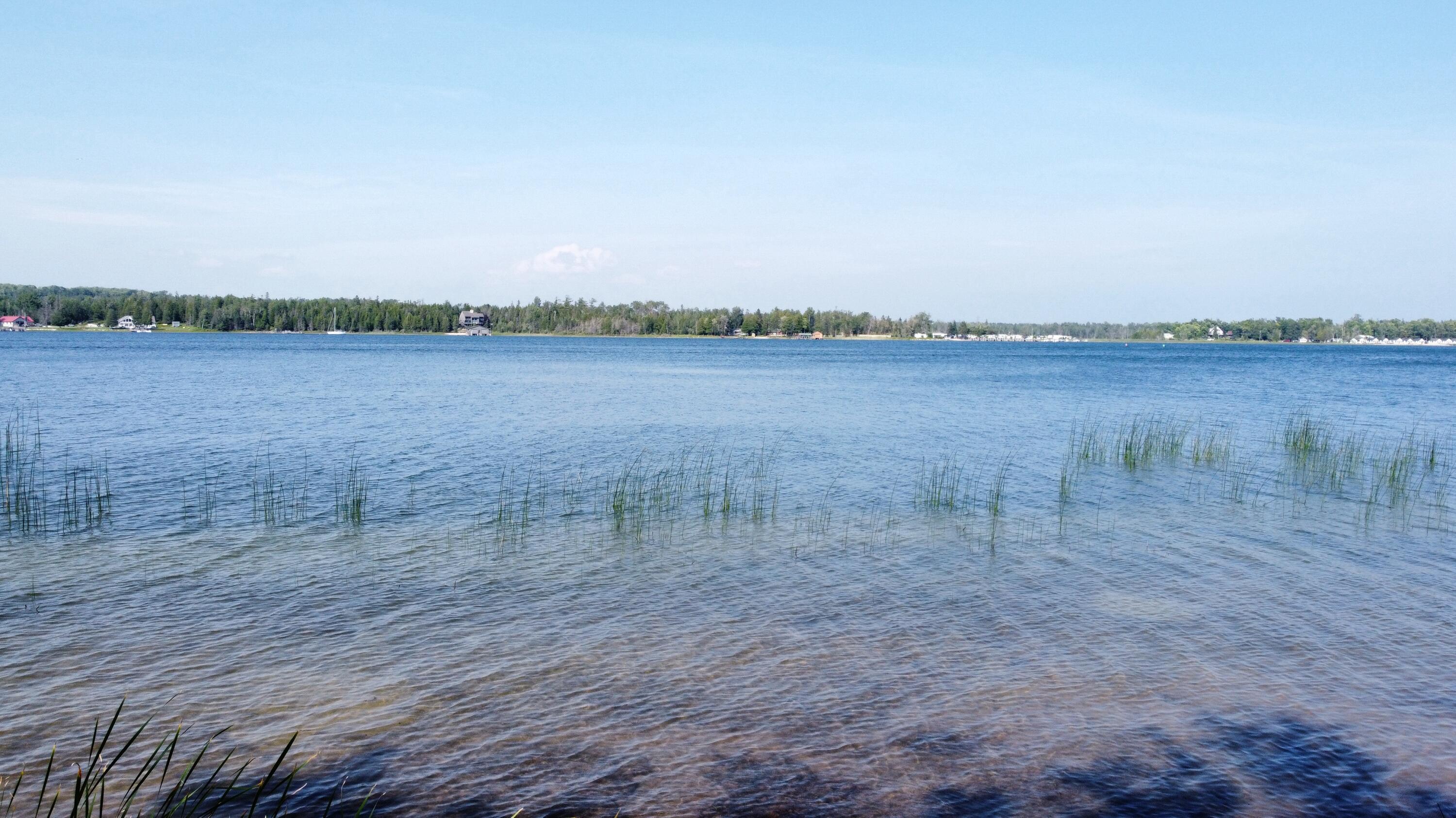 Property Photo: 800 S Big Lasalle Island MI 49719