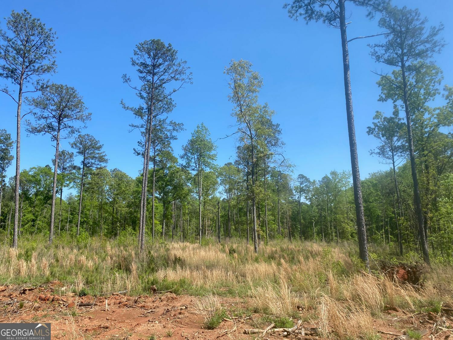 Property Photo: Lot 3 Giles Road GA 31029