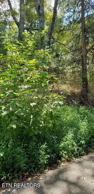 Property Photo:  5 Treeline Drive  TN 37327 