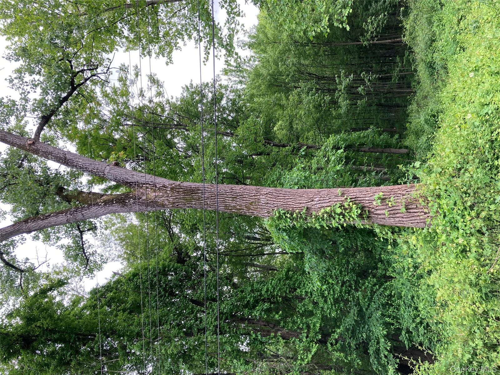 Property Photo: 30 Luty Drive NY