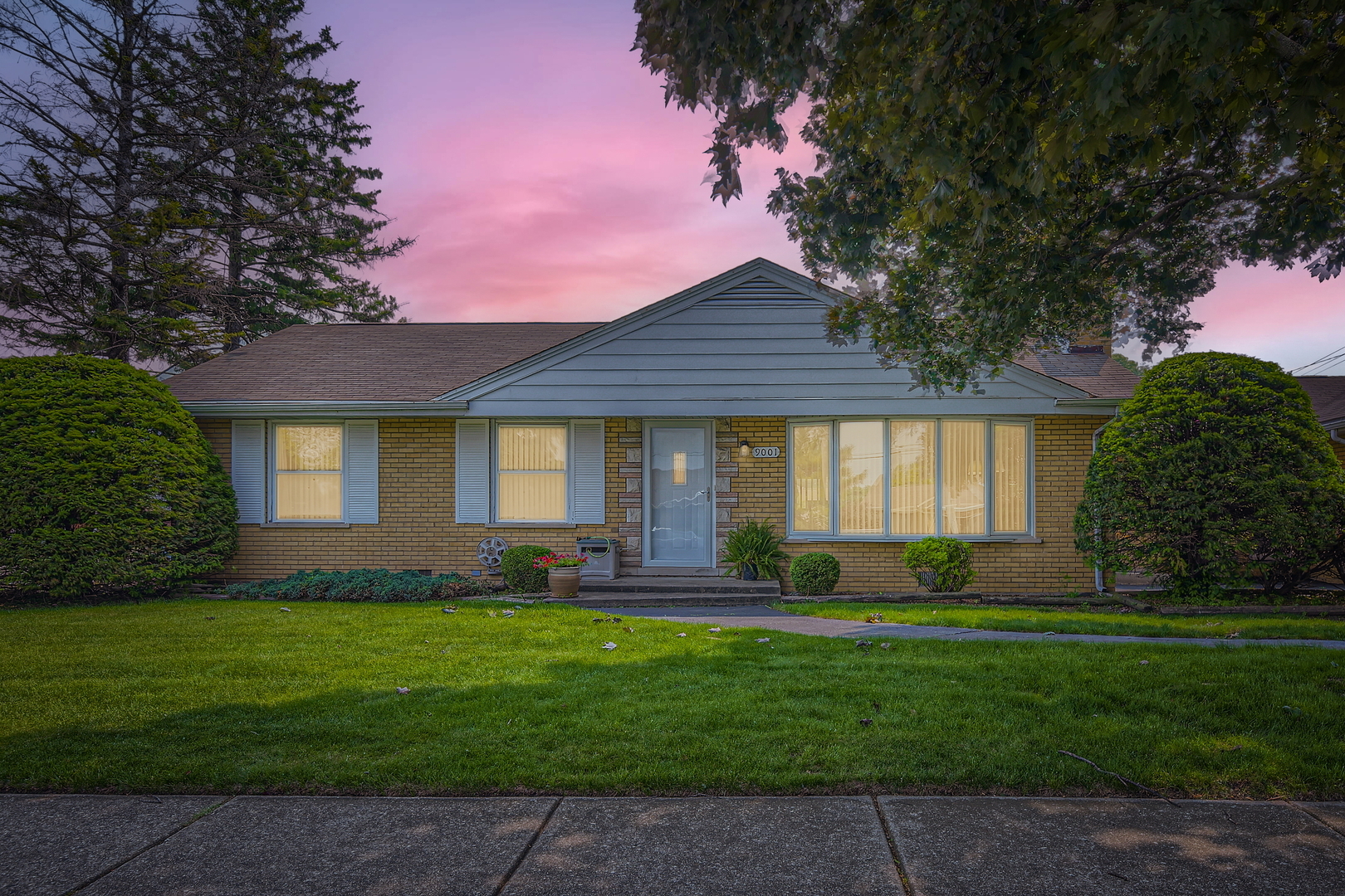Property Photo: 9001 Mobile Avenue IL 60453