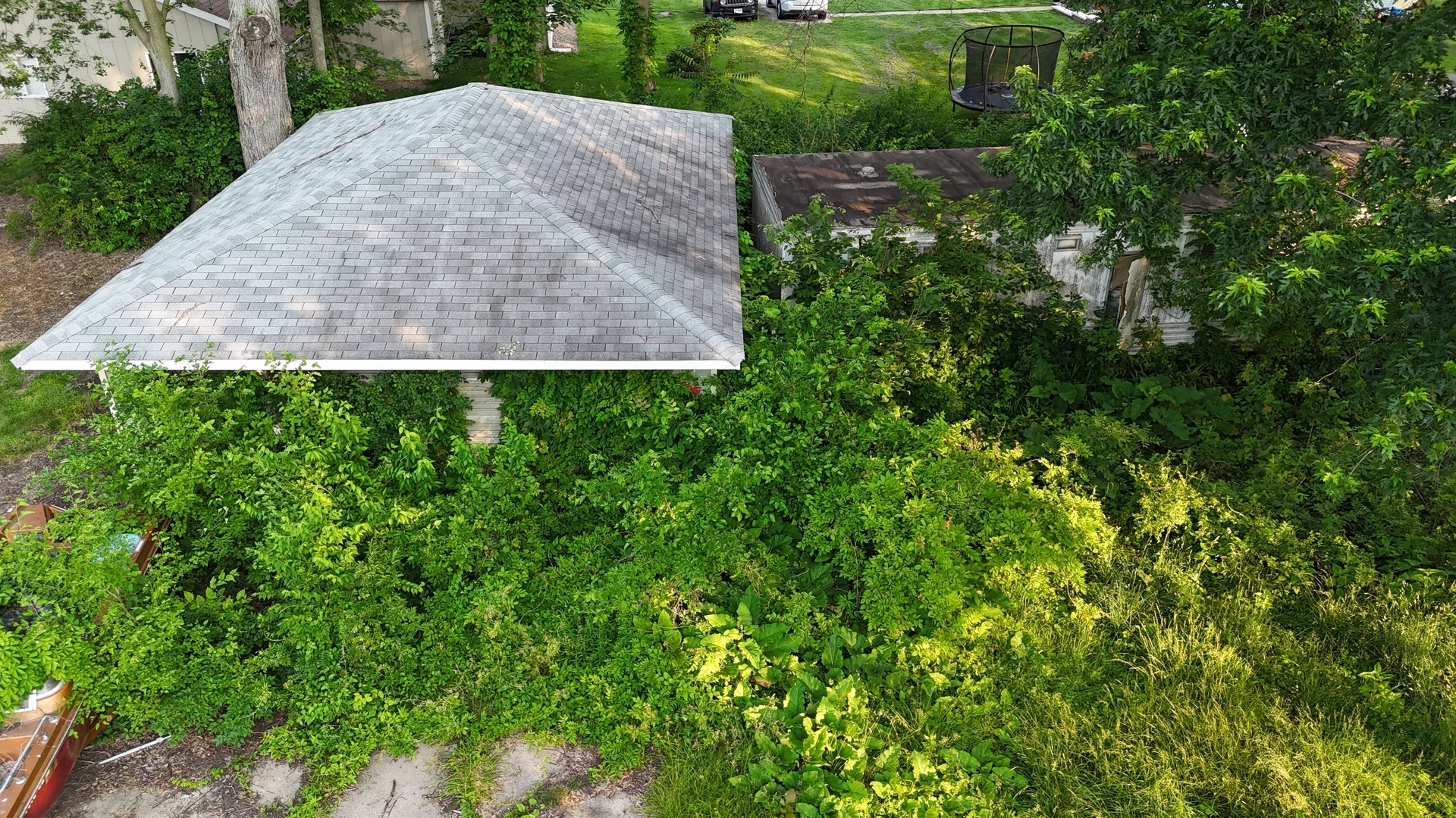 Property Photo: 28346 S Elm Drive IL 60481