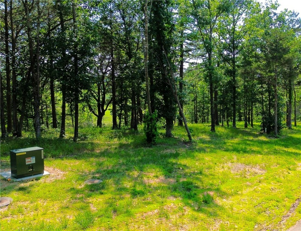 Property Photo: Tbd County Road 3272 AR 72616