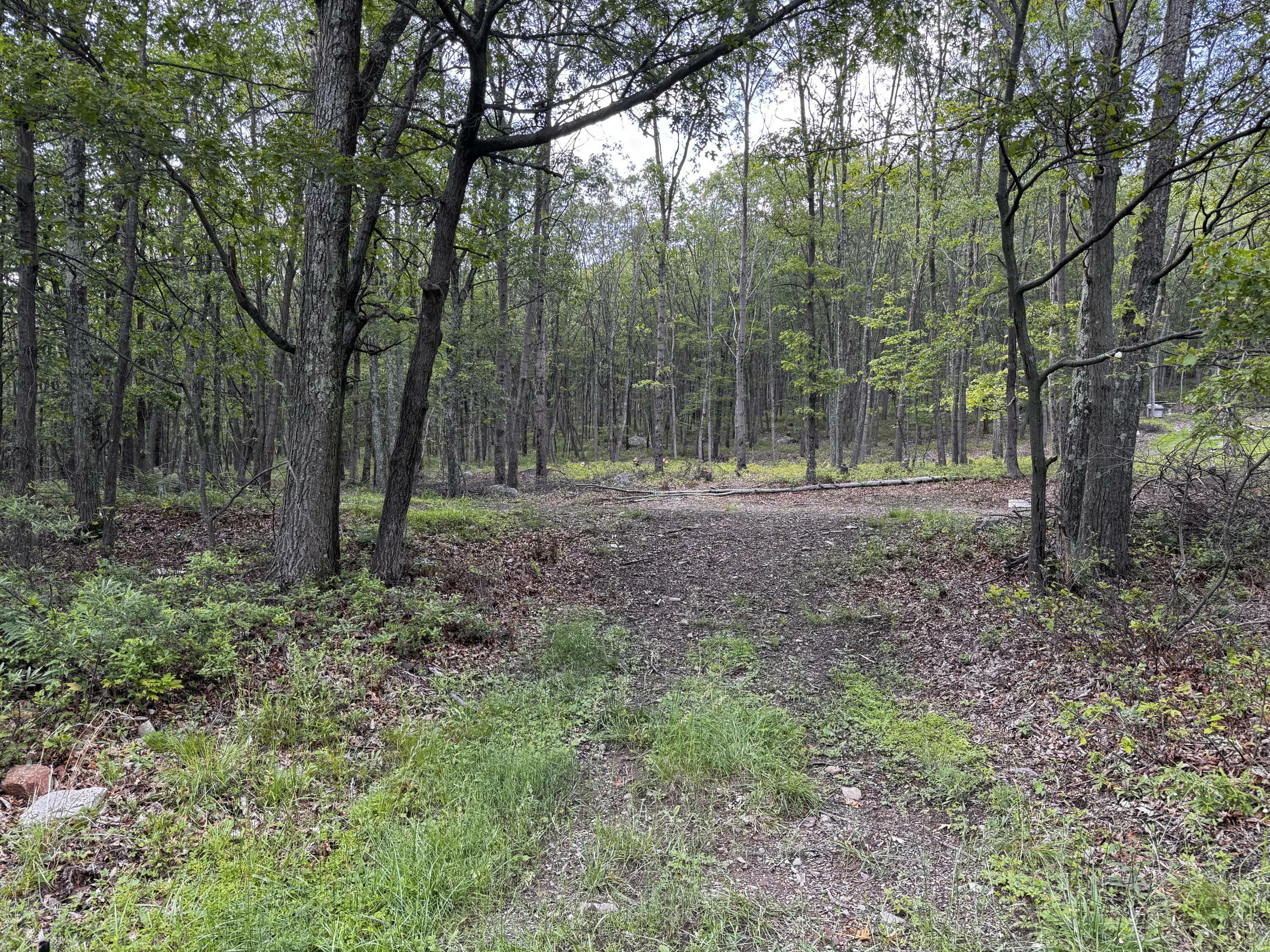 Property Photo: Foothill Blvd 5 Boulevard PA 18330