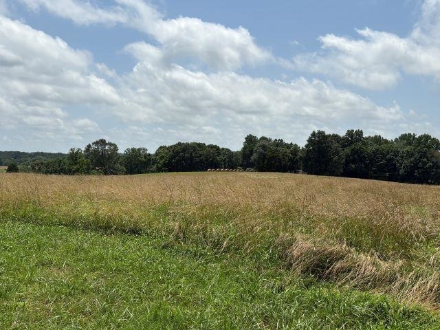 Property Photo: J W York Road KY 42164