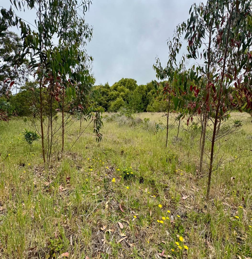 Property Photo: 00 Bonita CA 94019