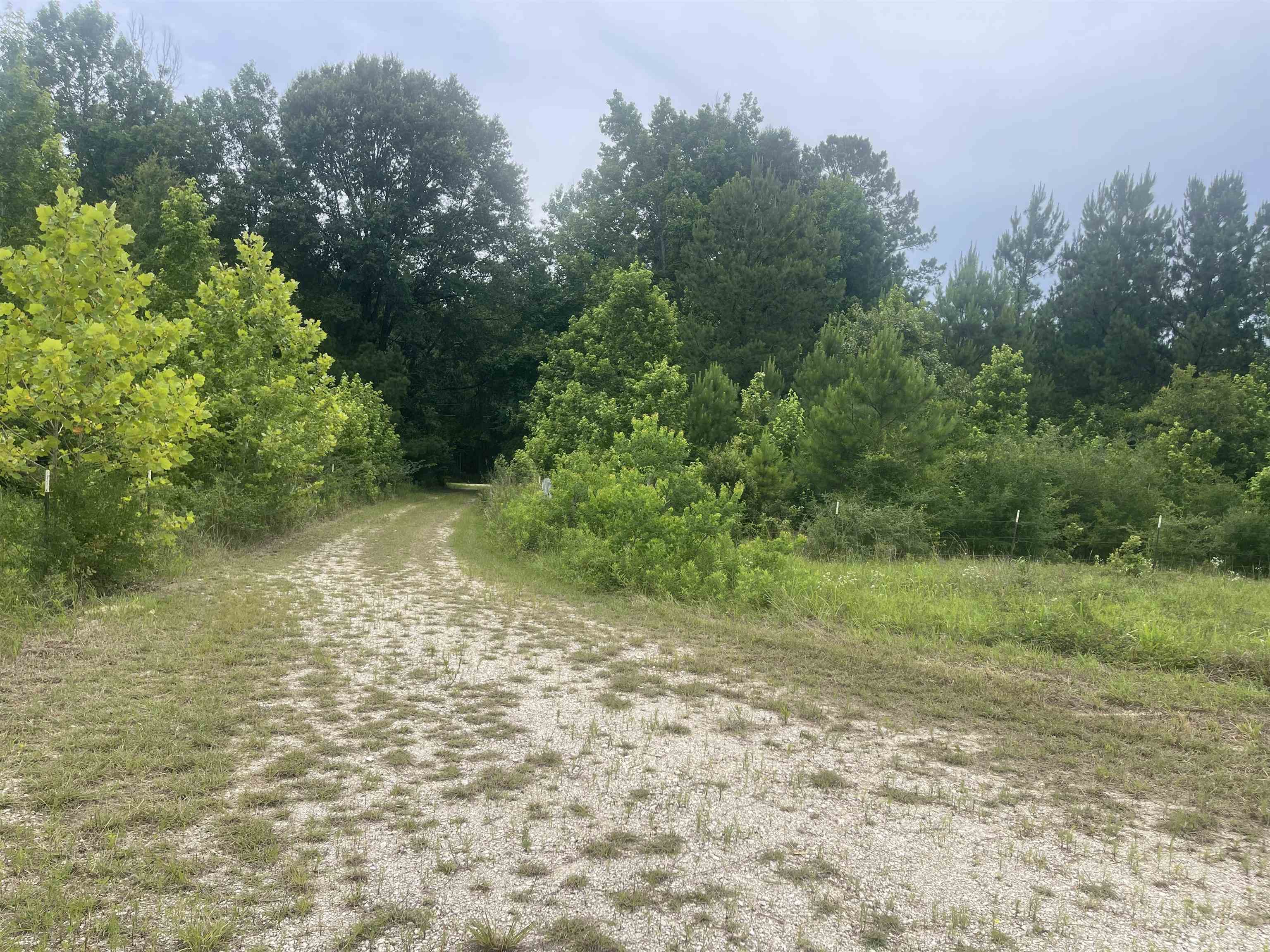 Property Photo: 02 Cr 4595 TX 77616