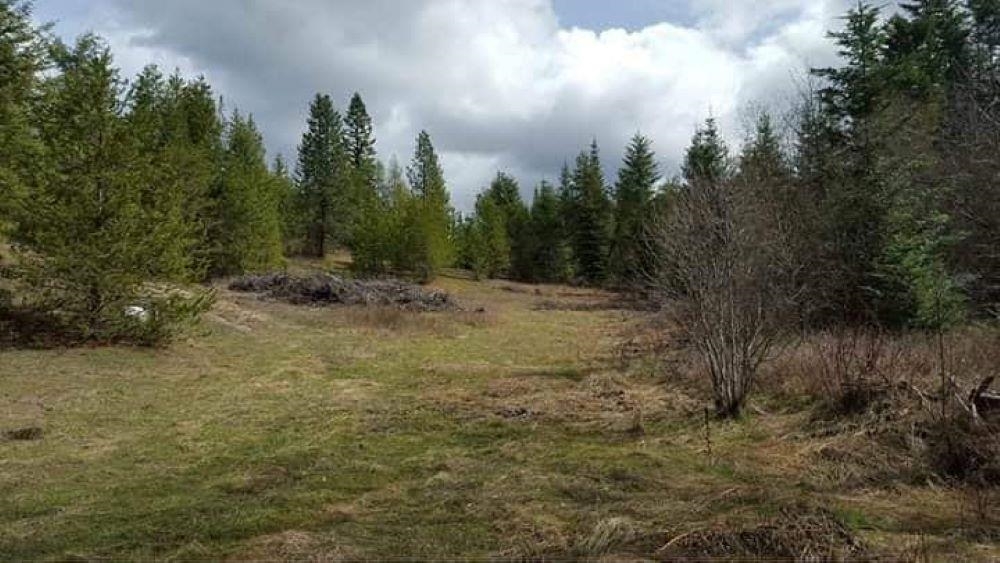 Property Photo: 203xx E Wallis Rd WA 99021