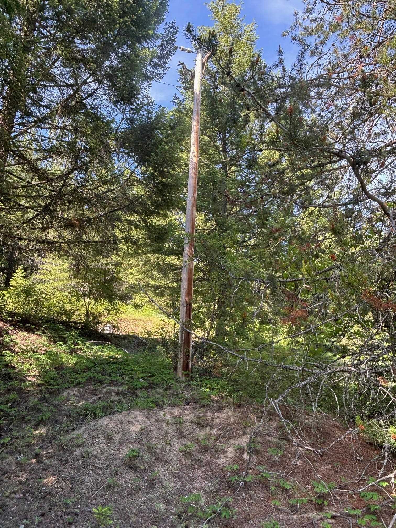 Property Photo: 203xx E Wallis Rd WA 99021