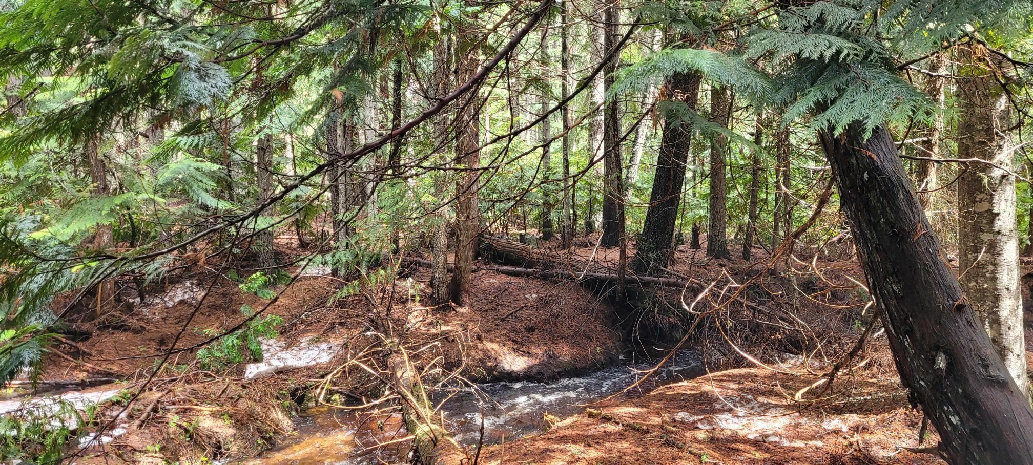 Property Photo: 7450 Ruby Creek Rd WA 99119