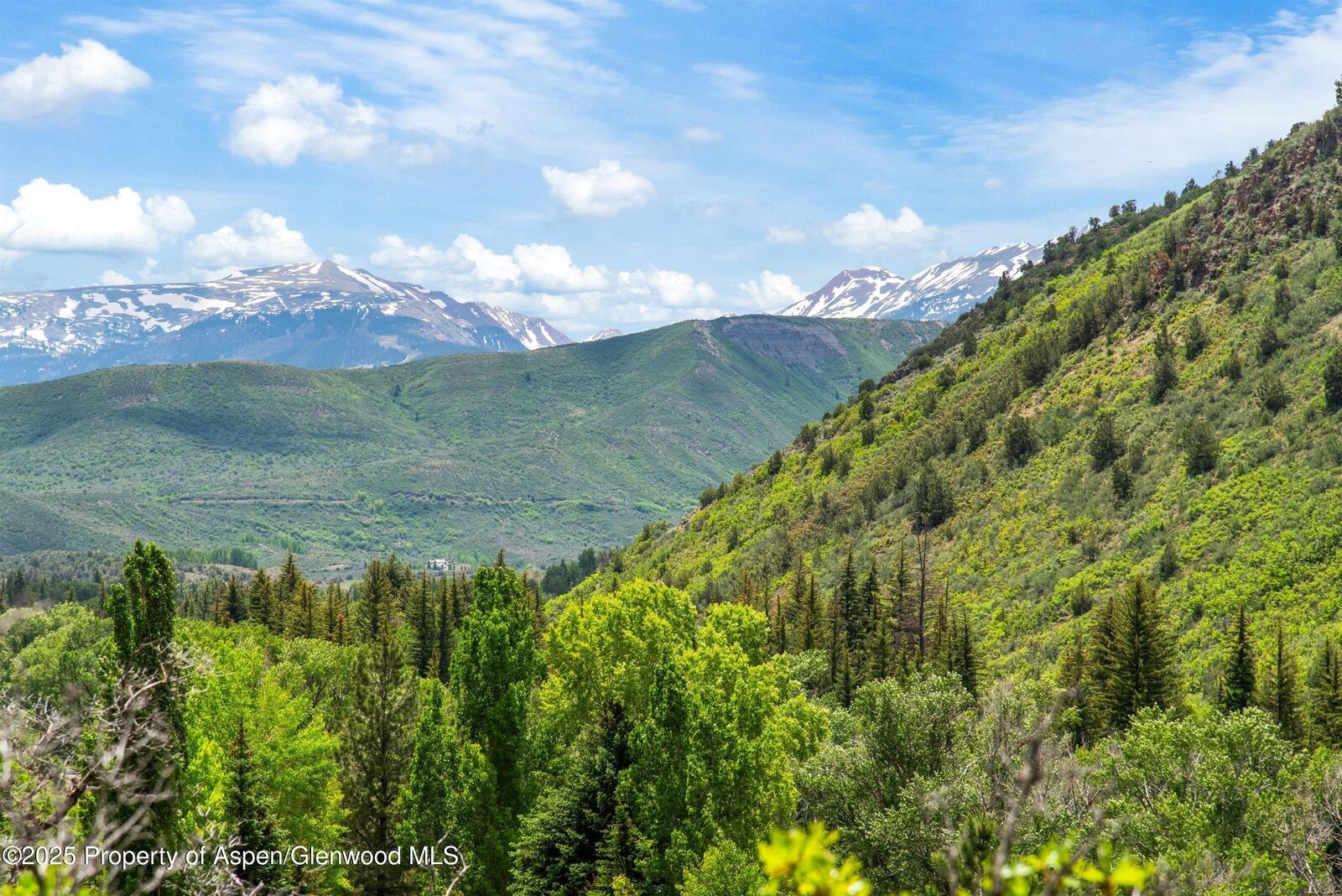 Property Photo:  354 Snowmass Creek Road  CO 81654 