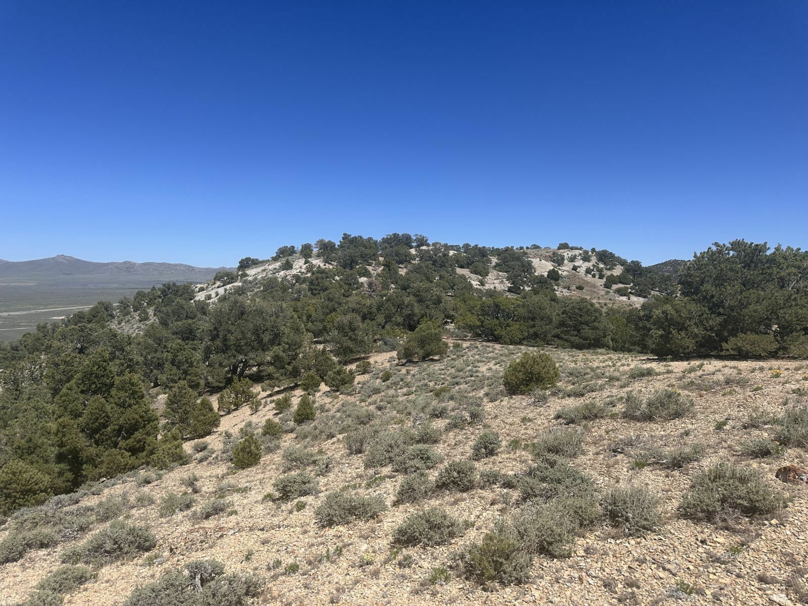 Property Photo:  009-37G-002  NV 89830 