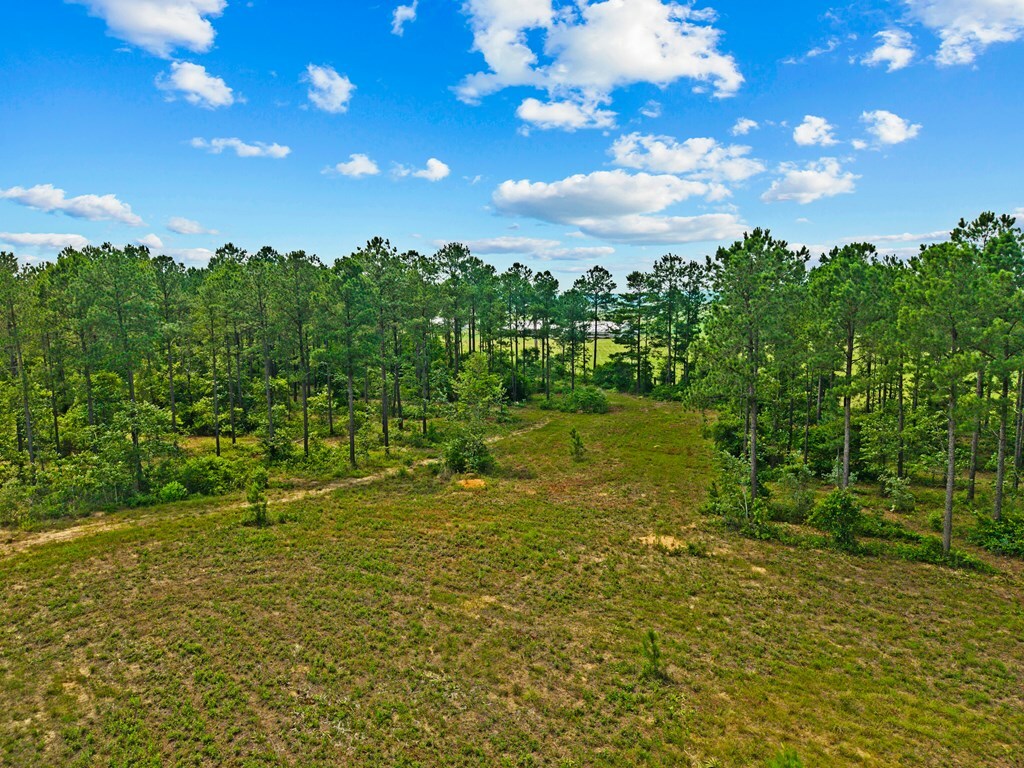 Property Photo:  12 Ac Liberty Road  GA 31058 