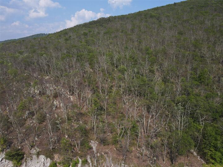 Property Photo: Route 52 NY 12489