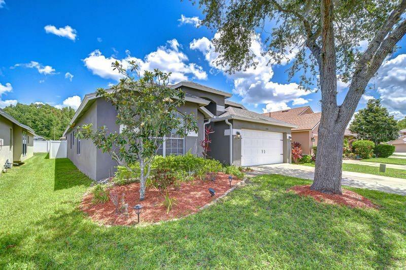Property Photo: 31349 Philmar Lane FL 33543