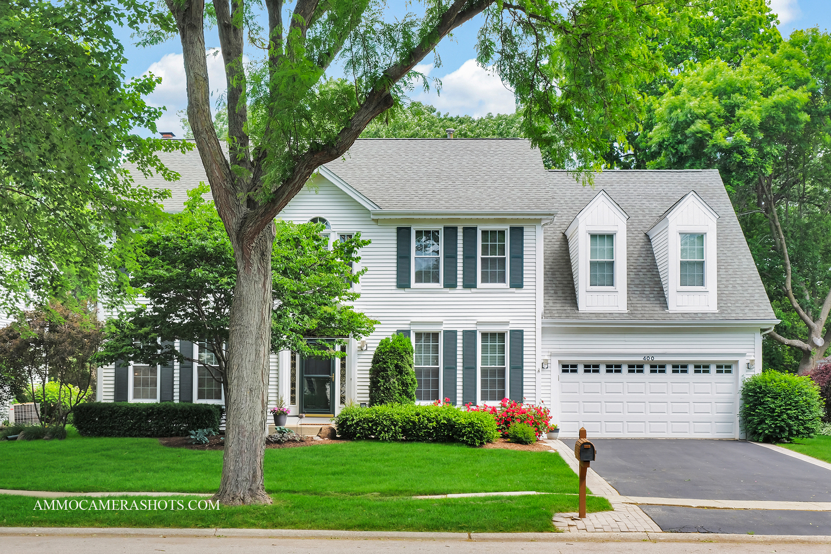 Property Photo: 400 Adare Drive IL 60013