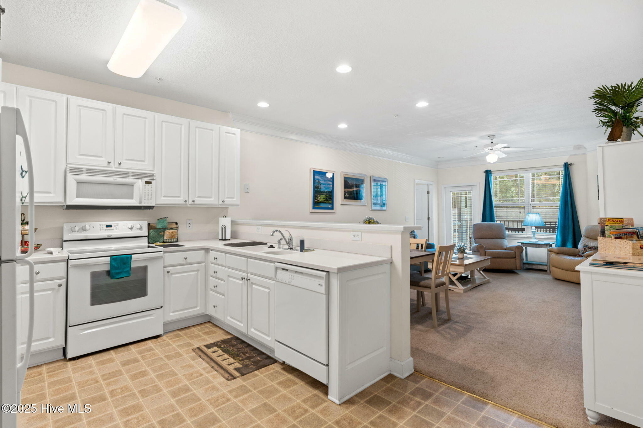 Property Photo:  235 Woodlands Way 9  NC 28467 