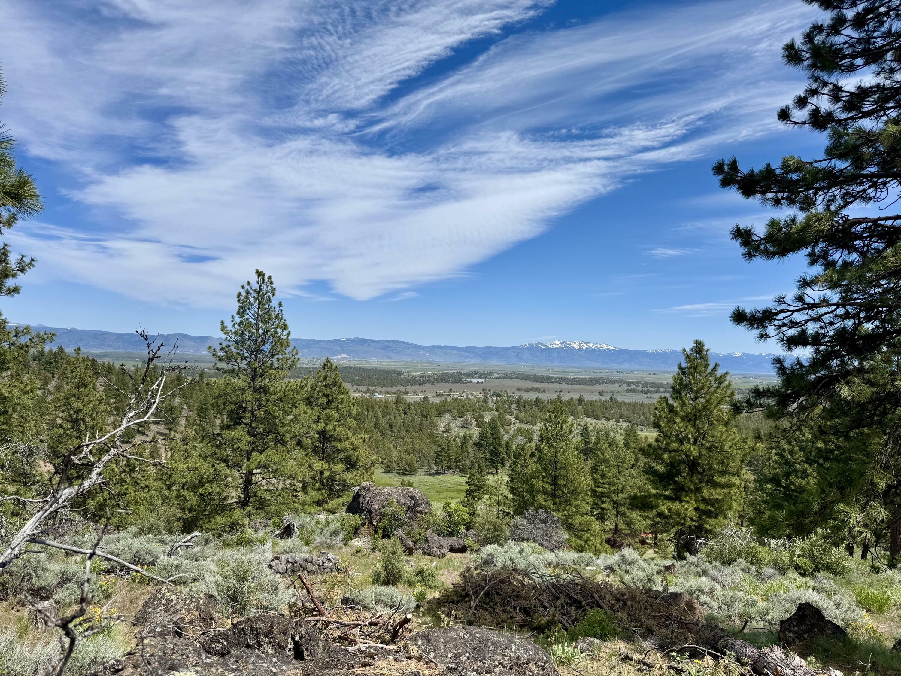 Property Photo: 89384 Highway 140 W OR 97630