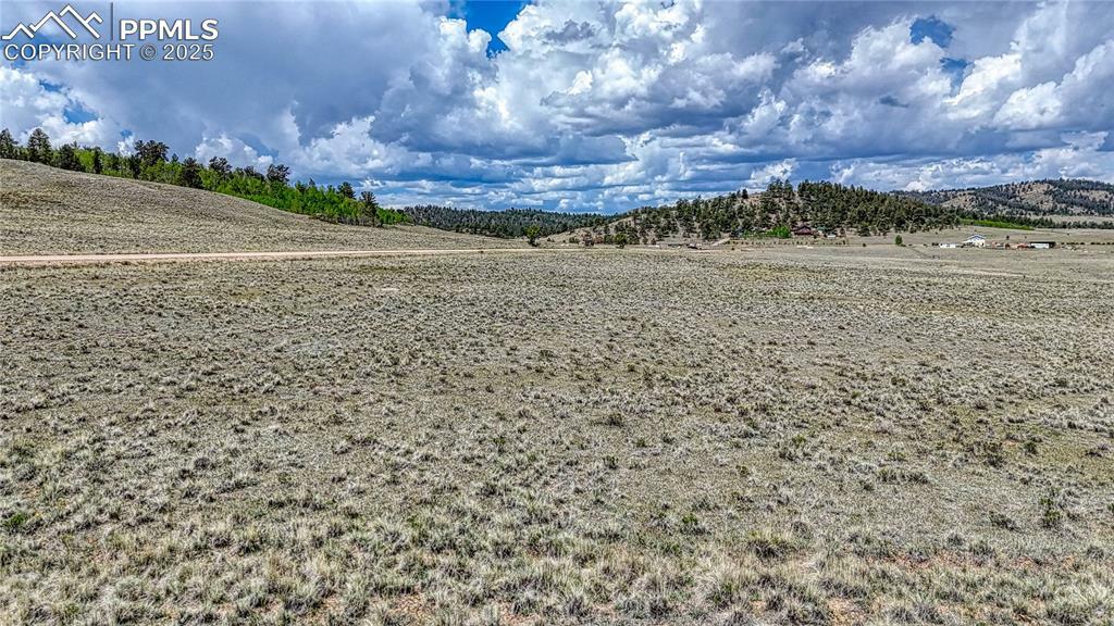 Property Photo: 4332 Goldenburg Canyon Road CO 80449