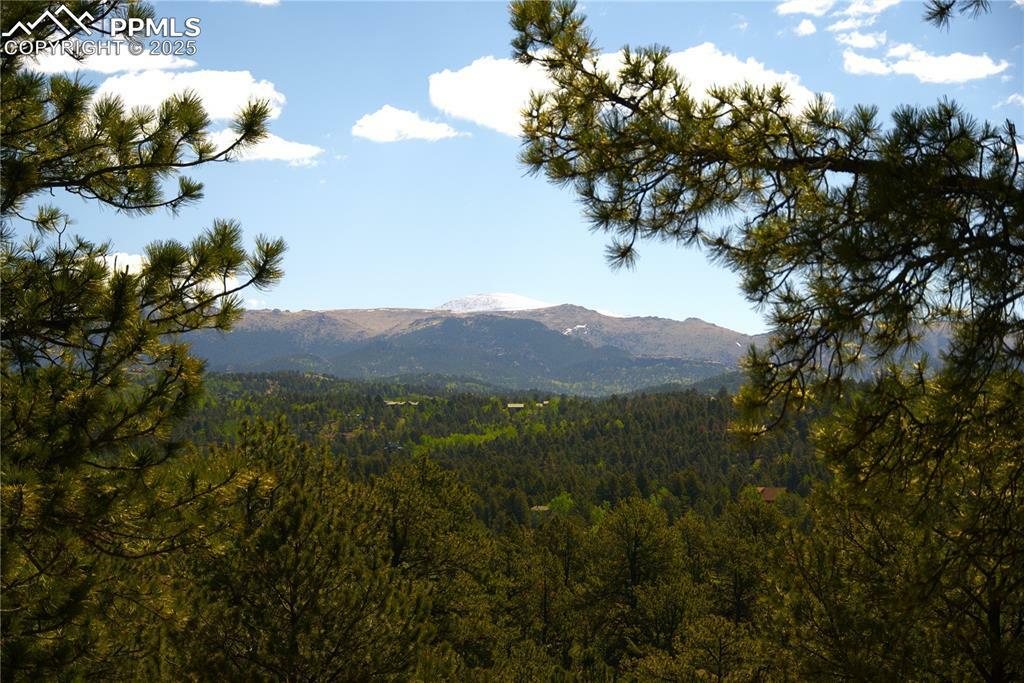 Property Photo: 29 Dexter Circle CO 80813