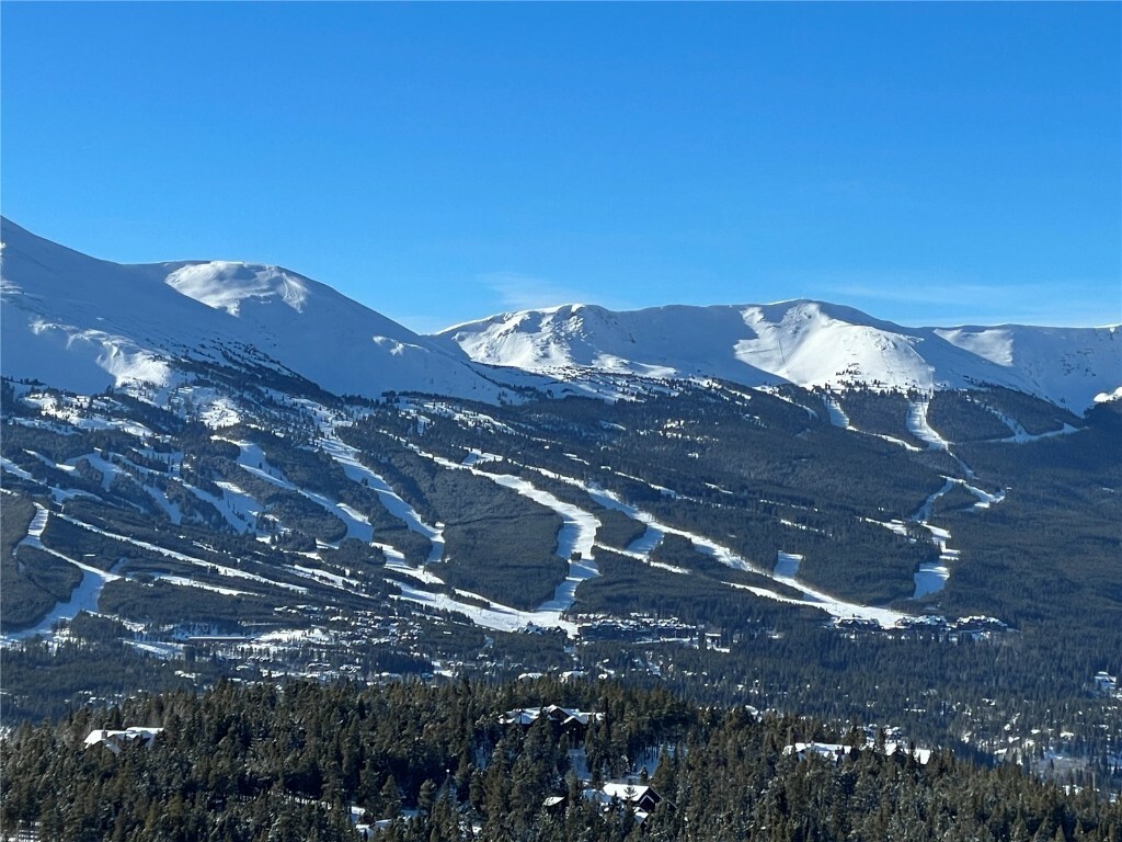 316 N Fuller Placer Road  Breckenridge CO 80424 photo