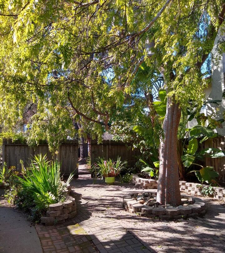Property Photo:  21851 Almaden Avenue  CA 95014 
