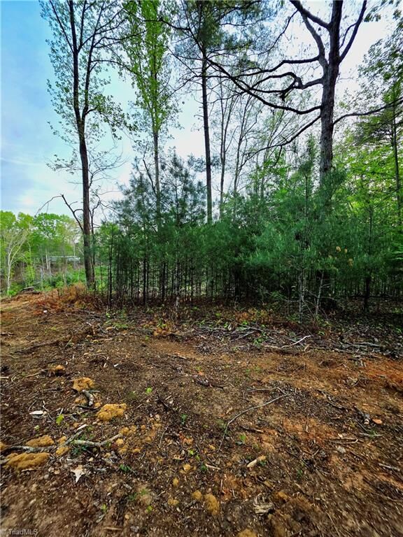 Property Photo:  Tbd Ruritan Park Road  NC 28659 