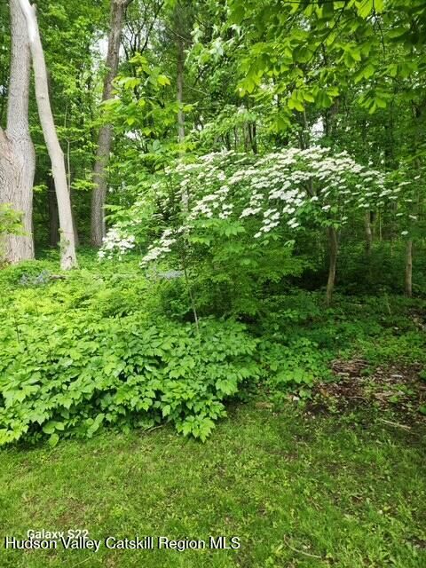 Property Photo:  40 North Mountain  NY 12517 