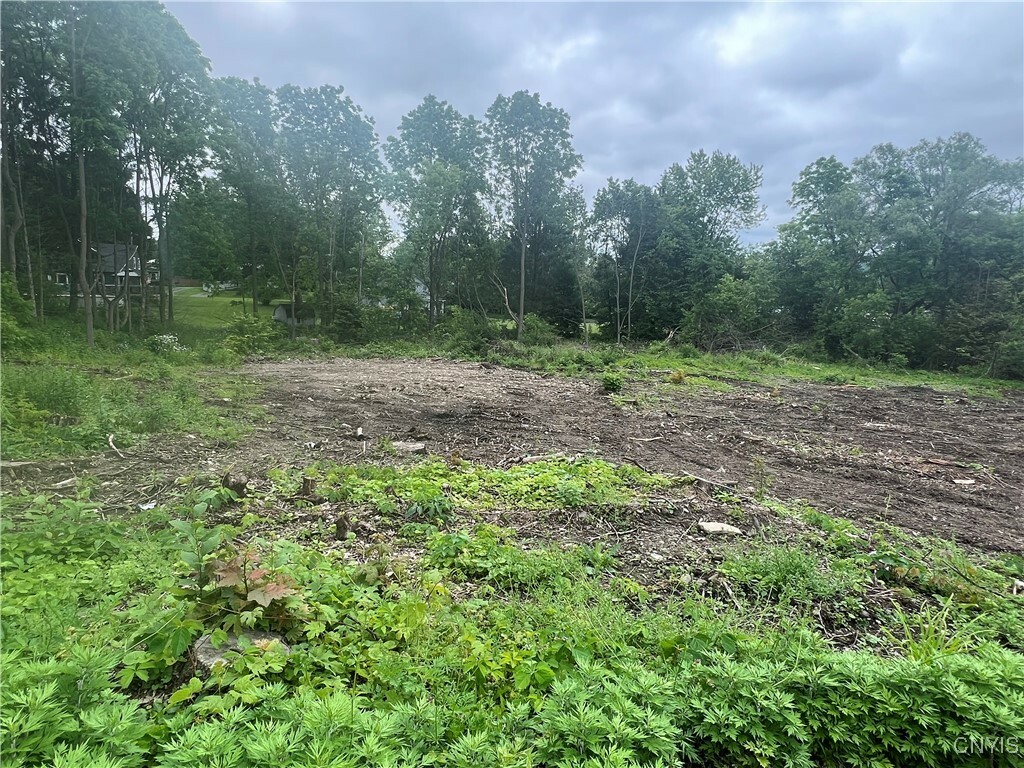 Property Photo: Franklin Street NY 13077