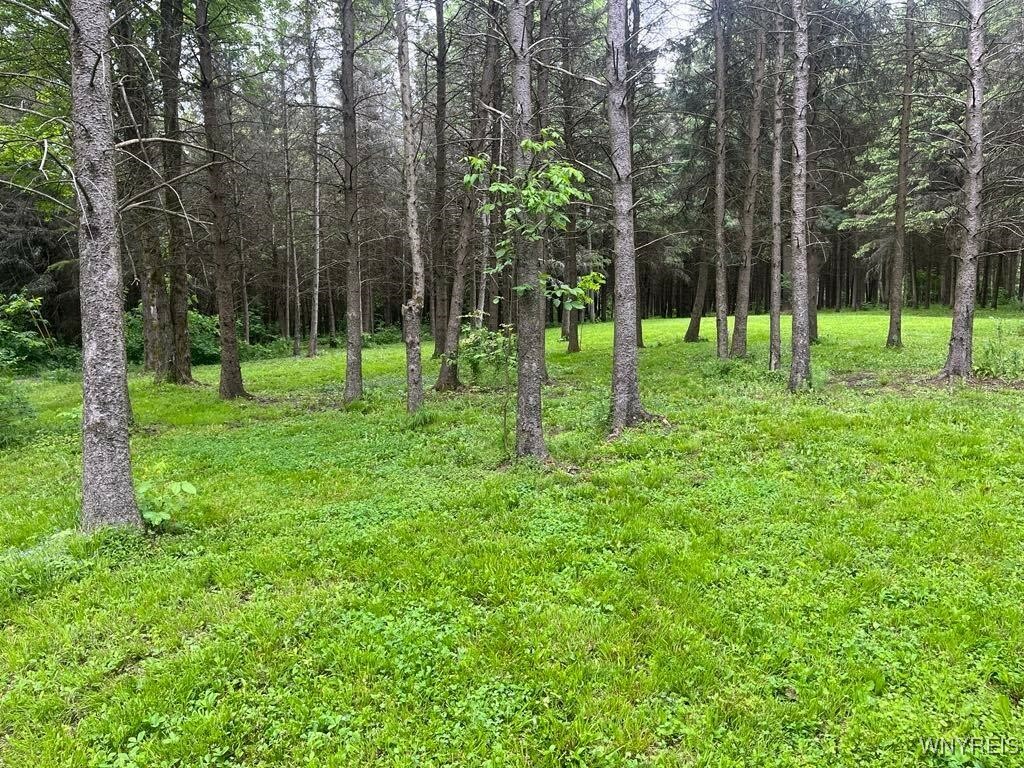 Property Photo: 3453 Duttun Loop Lane NY 14727