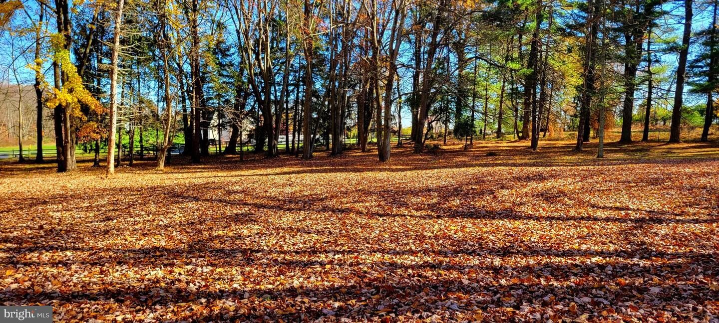 Property Photo: 1616 Meadow Lane PA 19342