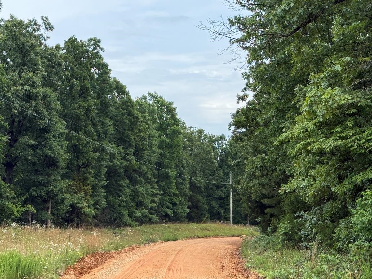 Property Photo: 00 Browns Creek Road AR 72459
