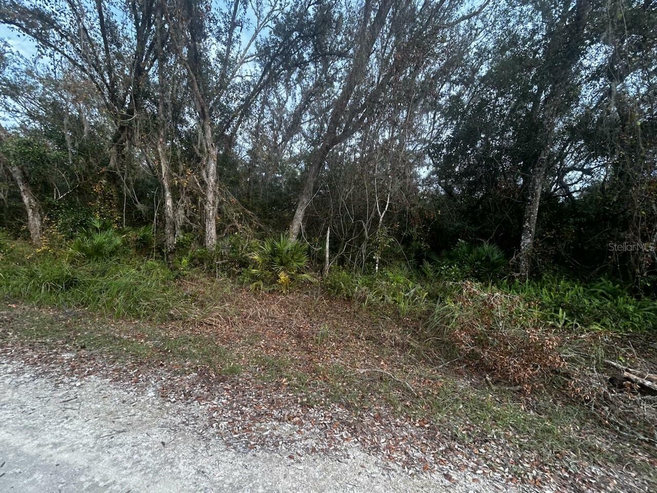 Property Photo: 6330 Mike Lane FL 33597