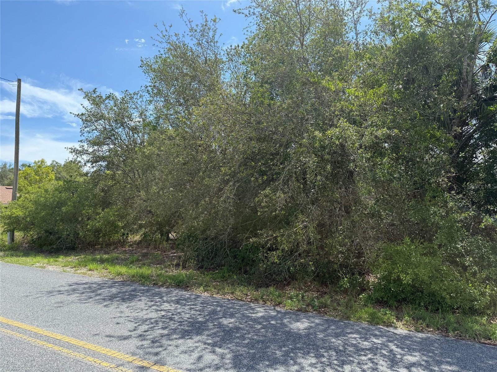 Property Photo: Tbd Locust Lane Pass FL 34472
