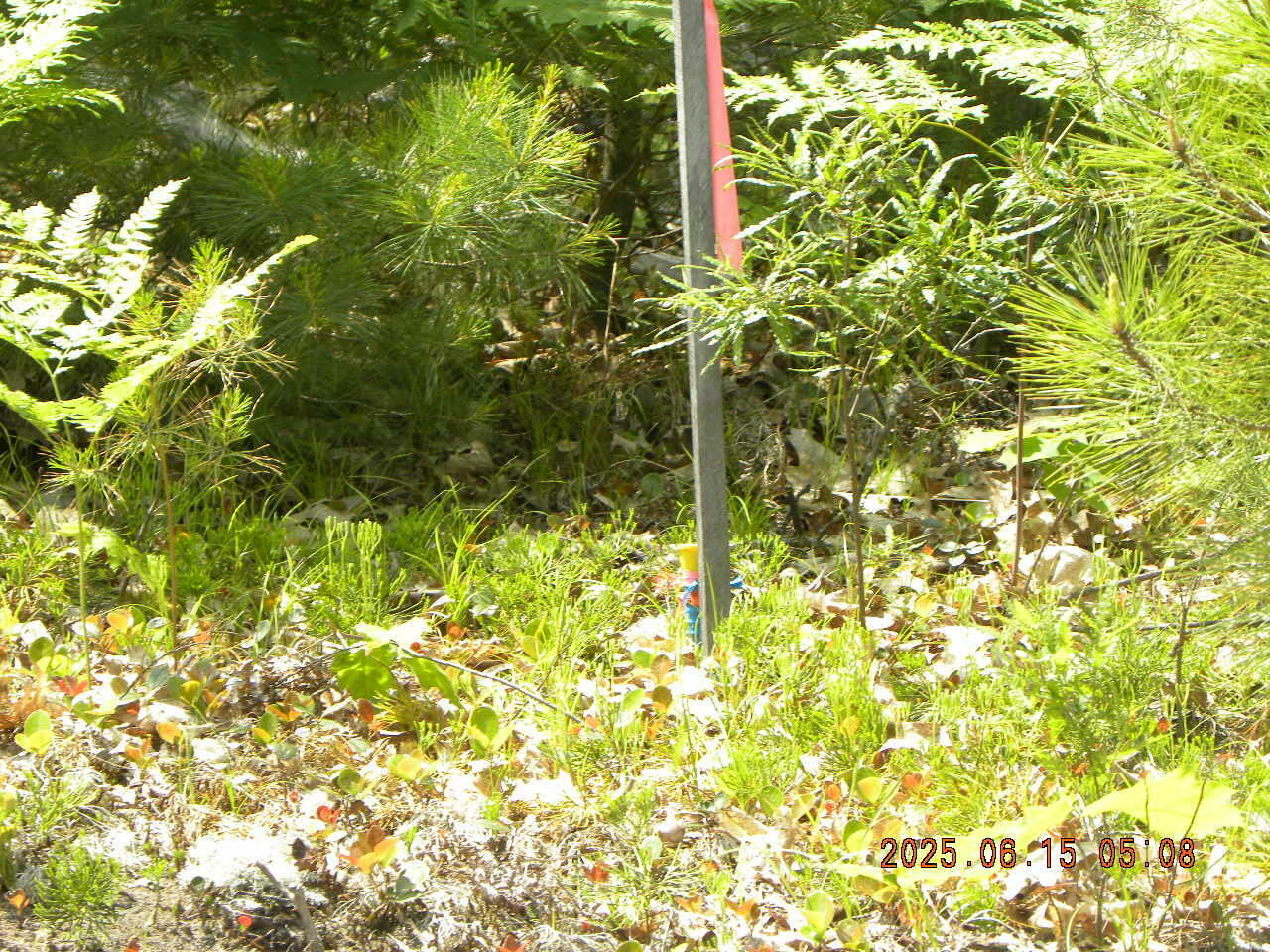 Property Photo:  00 Bridge Street  ME 04056 