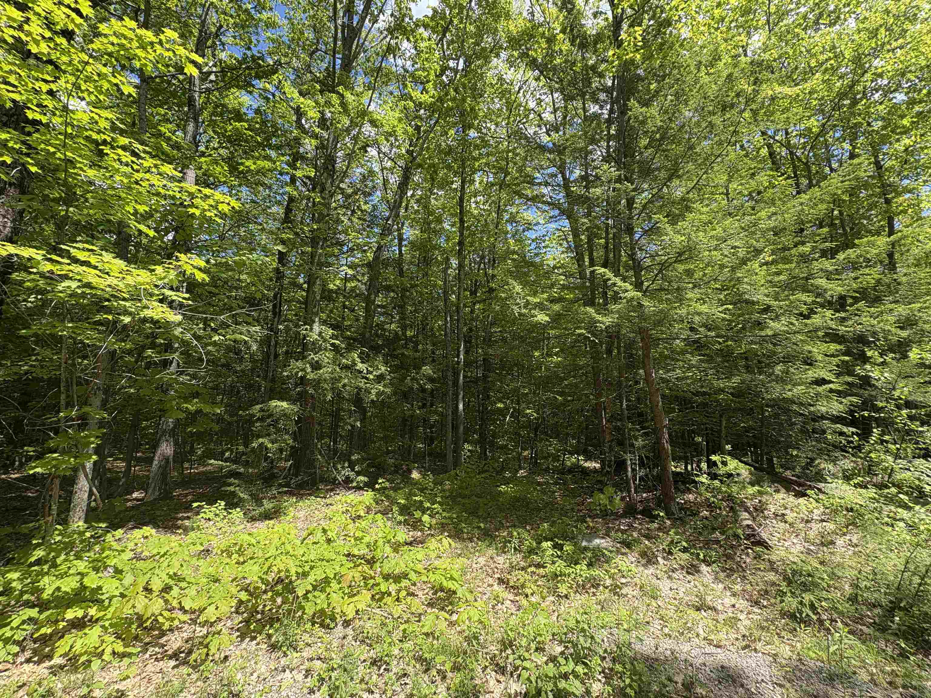 Property Photo: Craig Road NH 03440