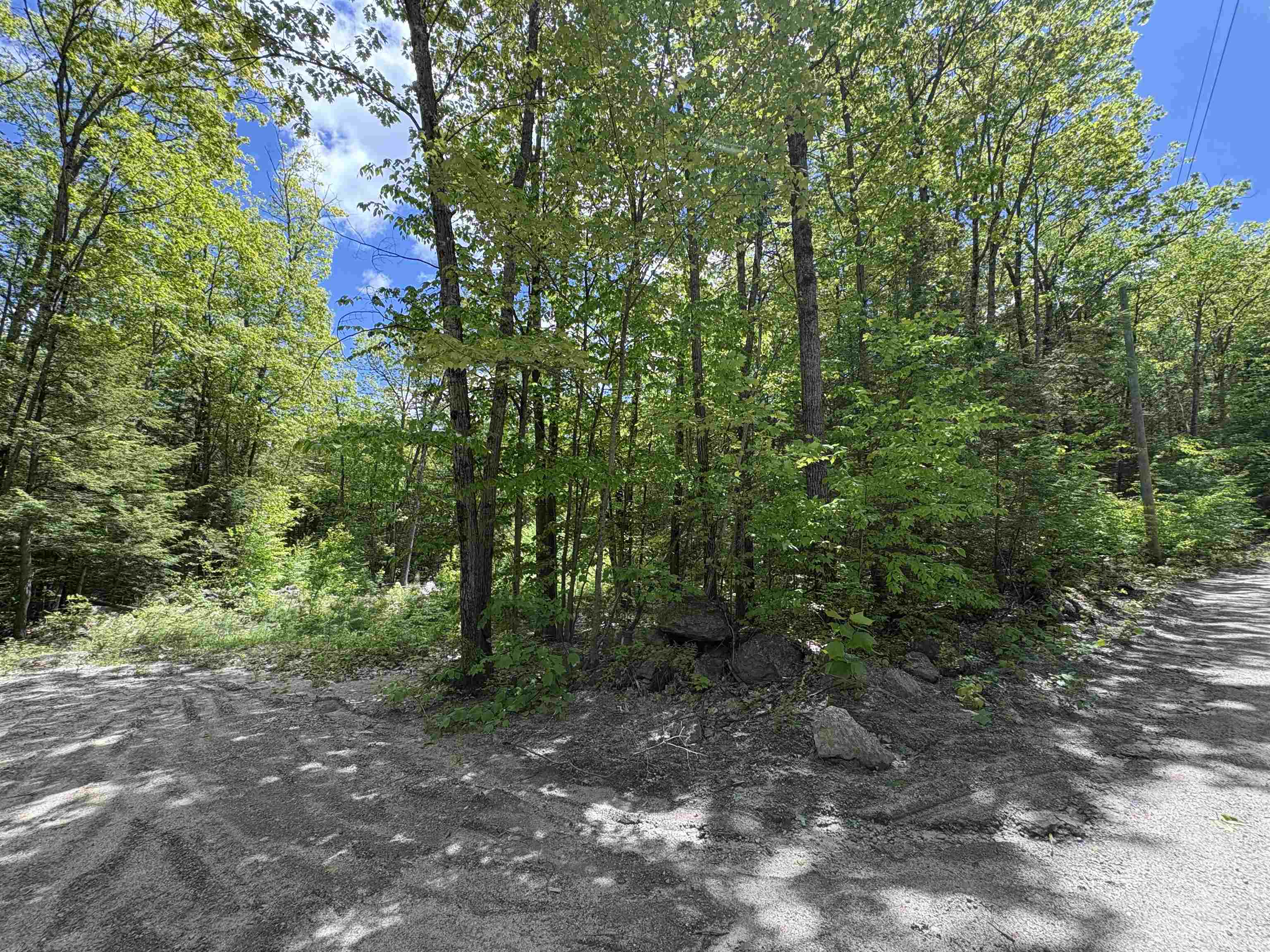 Property Photo: Craig Road NH 03440