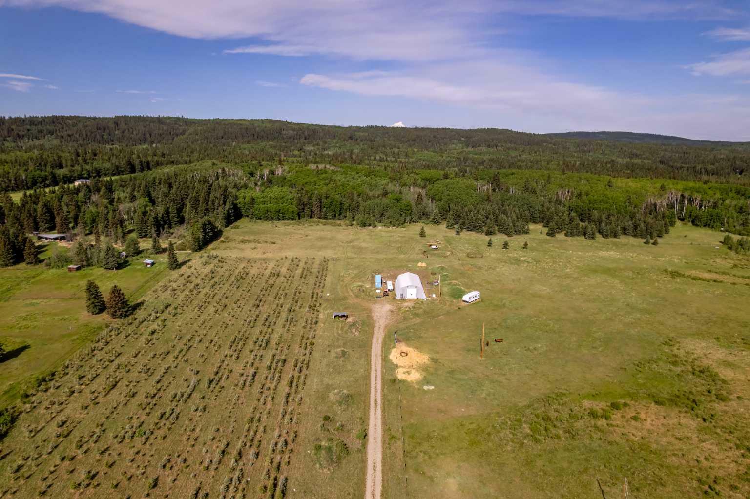 Property Photo:  80 Acres Range Road 53  AB T4C 2W1 