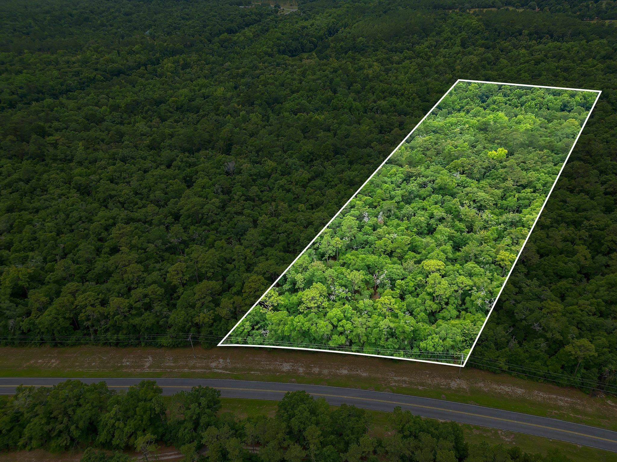 Property Photo: Xx Old Federal Road FL 32351