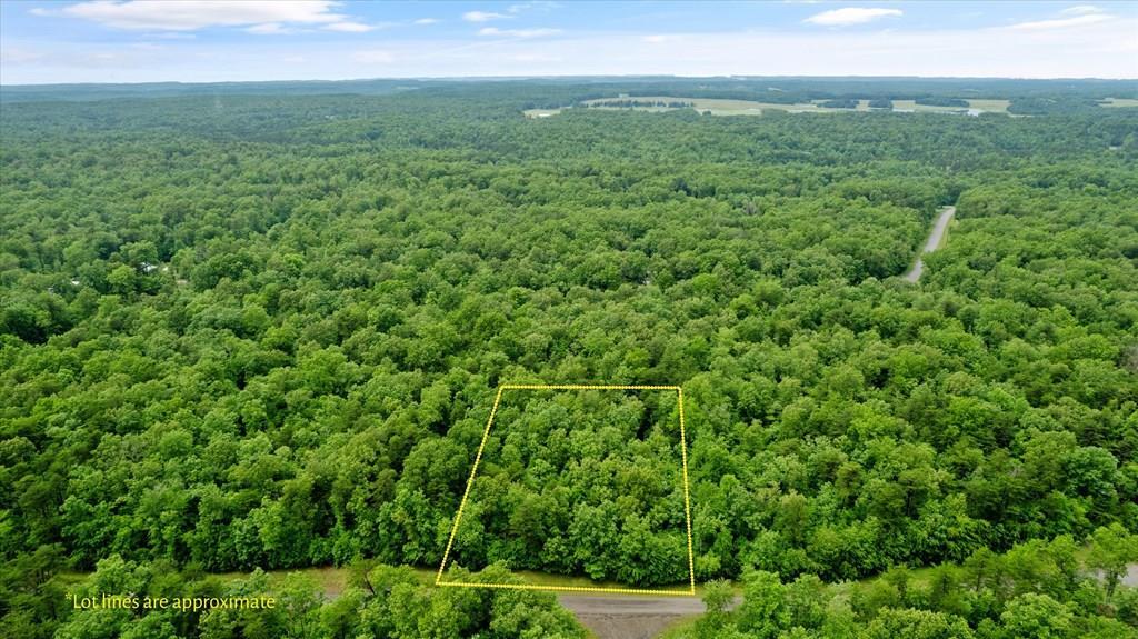 Property Photo:  1.58 Ac Mountain Ash Dr  TN 38574 