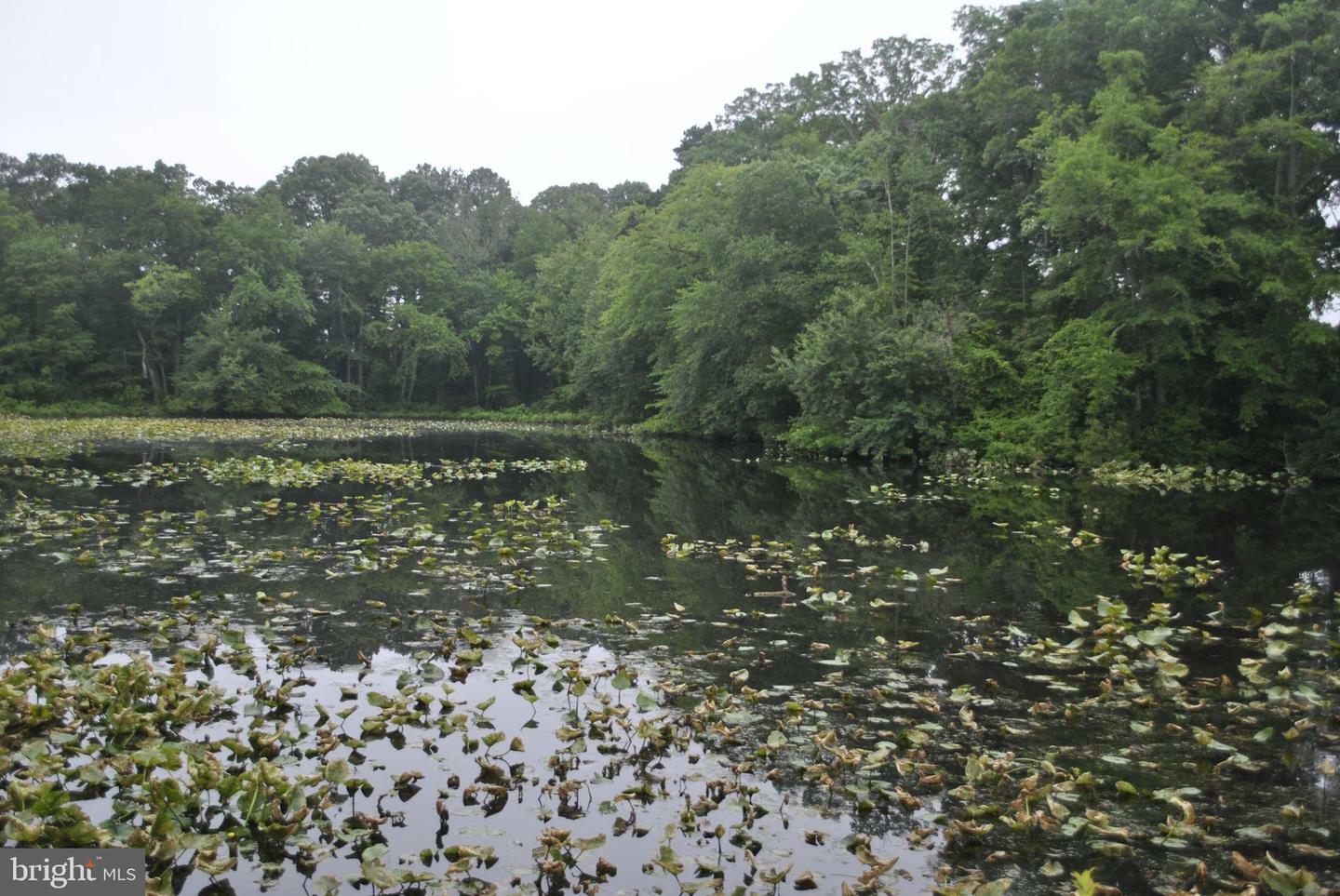 Property Photo: 228 Canal Park Drive G-1 MD 21804