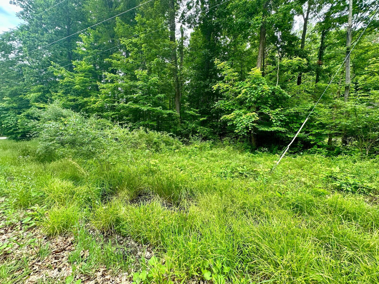 Property Photo: 7326 St. Rt. 19 Unit 10 Lot 46&Amp47 OH 43338