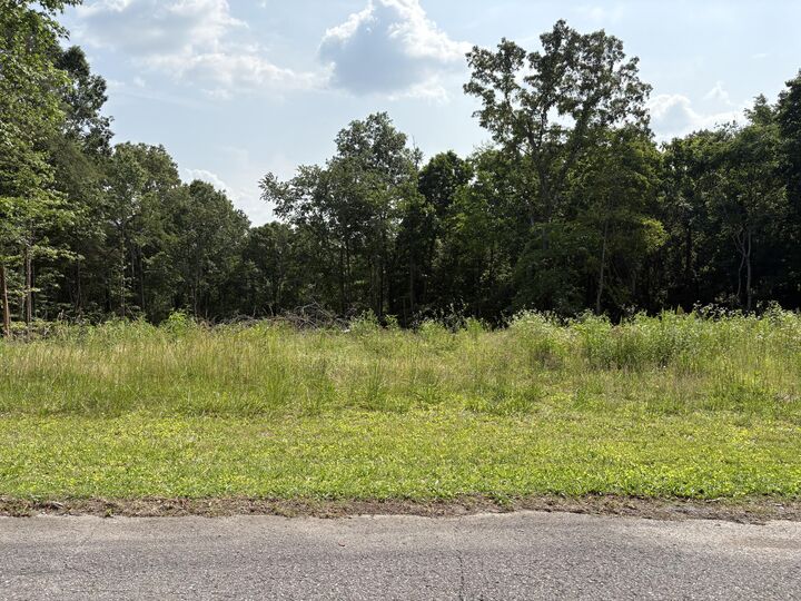 Property Photo: Lot 1 Robbie Drive TN 37397