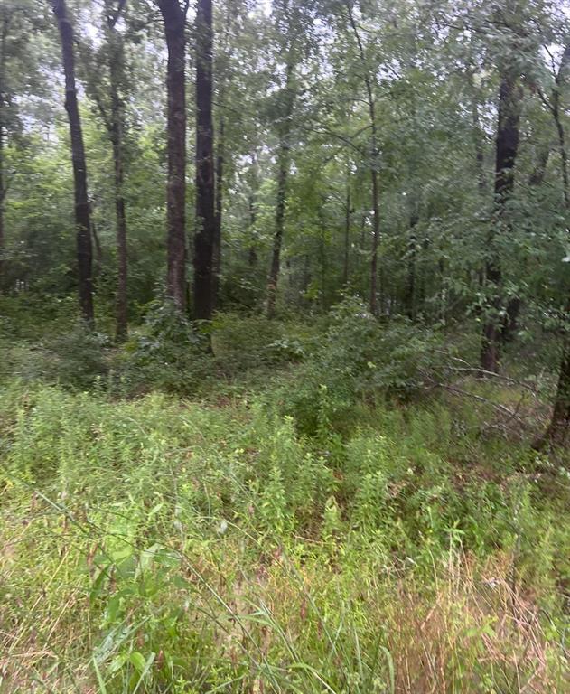 Property Photo: Tbd Moonbeam Dr TX 77351