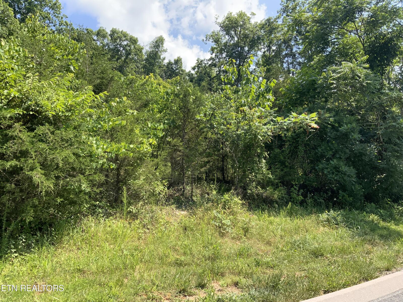 Property Photo:  Eagles Ridge  TN 37879 