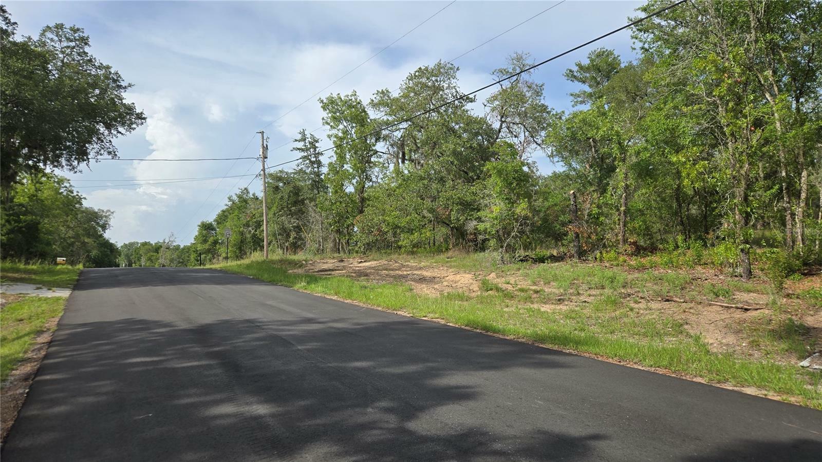 Property Photo:  4771 N Redwood Avenue  FL 34442 