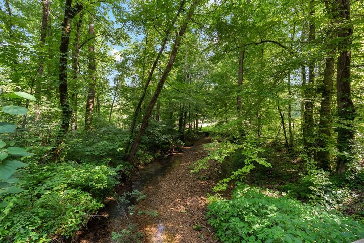 Property Photo:  0 Teal Hollow Rd  TN 37348 